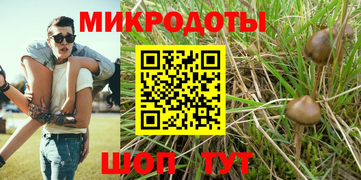Псилоцибиновые грибы ЛСД Каспийск