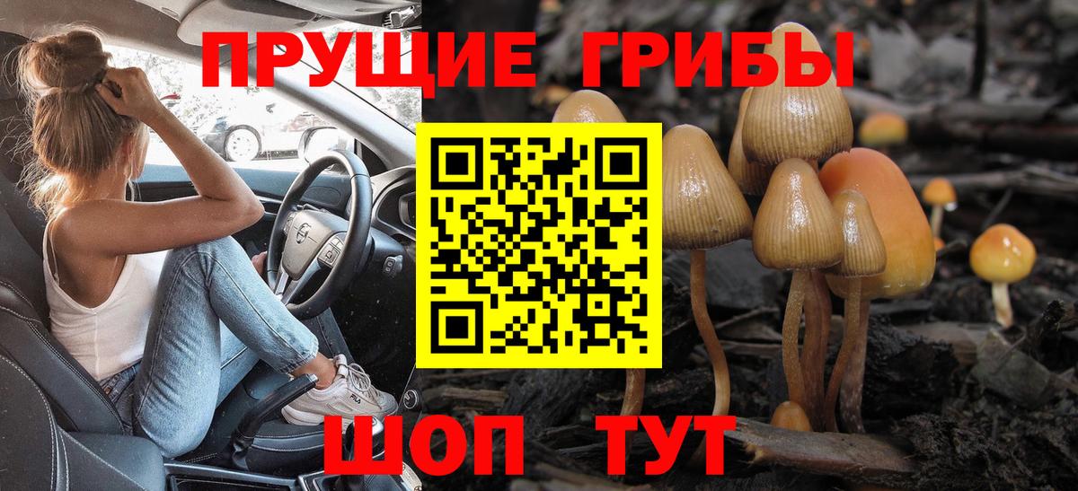 Галлюциногенные грибы Psilocybe  Галлюциногенные грибы Psilocybine cubensis  Вход с VPN  Каспийск 